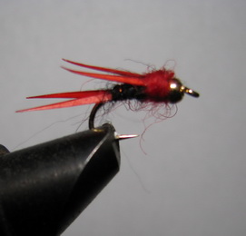 ���� ����� Prince nymph red ������ � 12